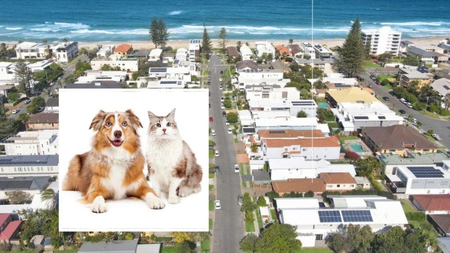 Gold Coast beach house left entirely to the RSPCA