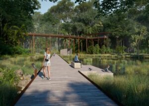 An impression of how a wetland boardwalk could look.