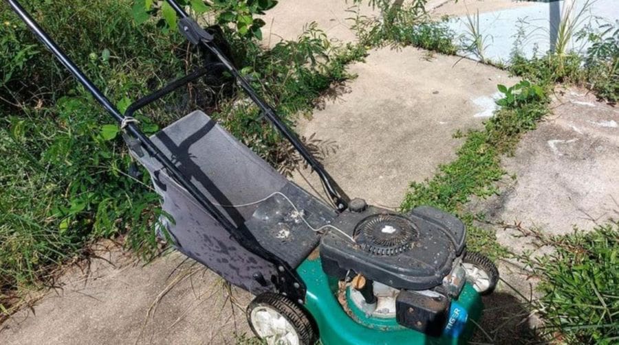 The mower didn’t get much use