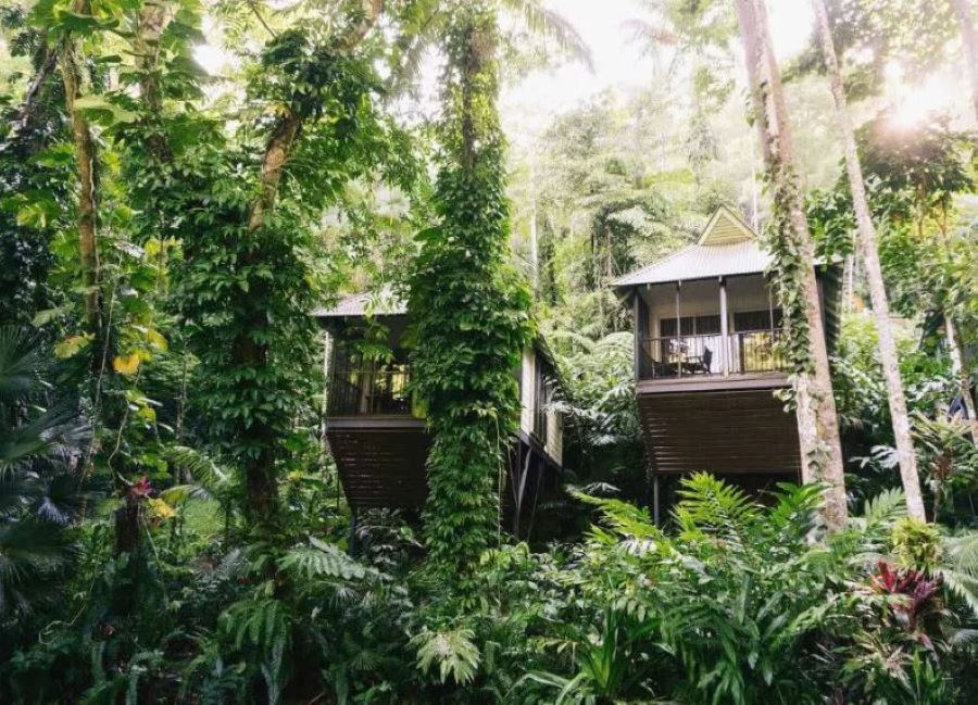 Daintree Rainforest Accommodation And Hospitality Assets Comes to Market