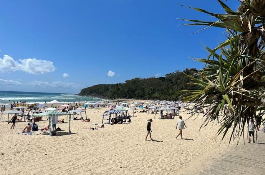 Noosa's main beach is a hotspot for visitors and locals alike.